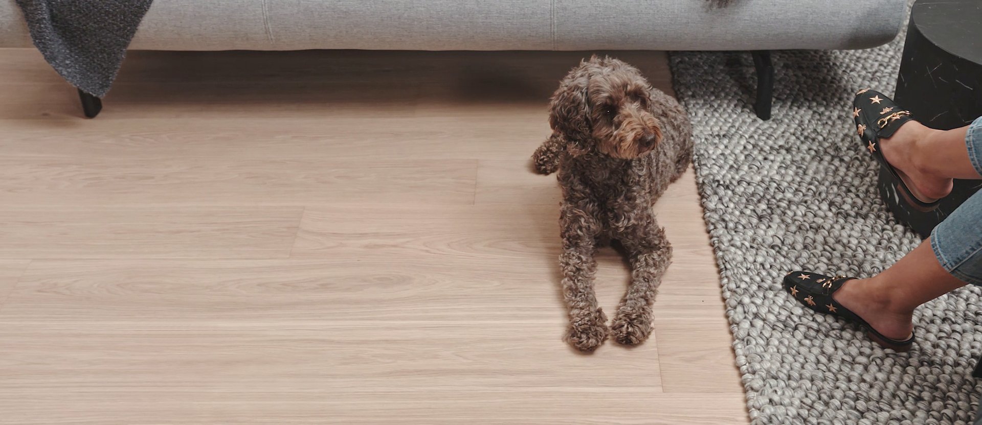 How to Protect Hardwood Floors from Pets - Dog & Cat Scratch