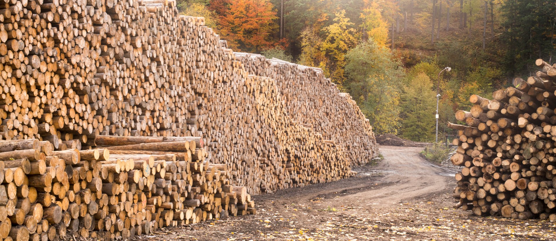 How the Russia/Ukraine conflict is impacting the engineered oak flooring industry  