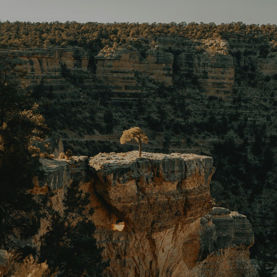 Canyon-split-background