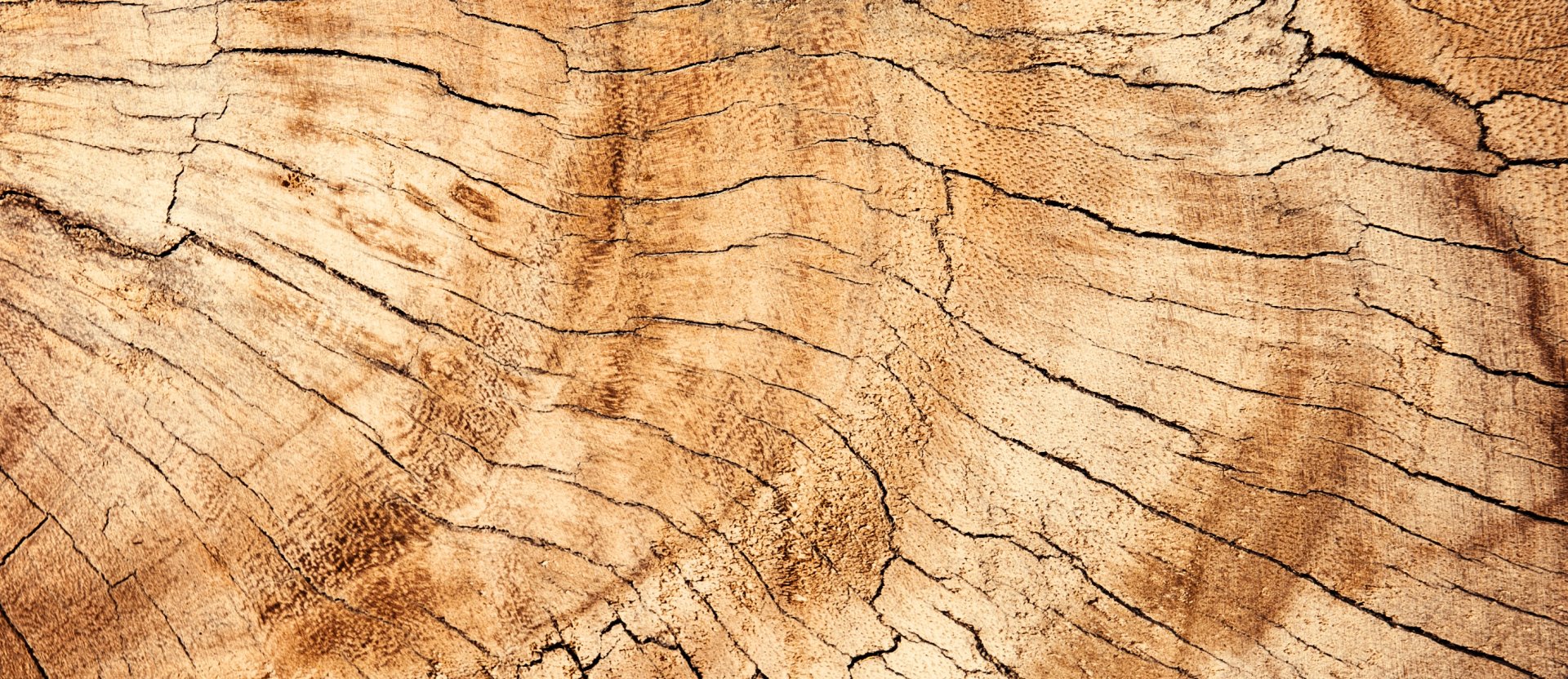 Why is Oak Flooring so common?