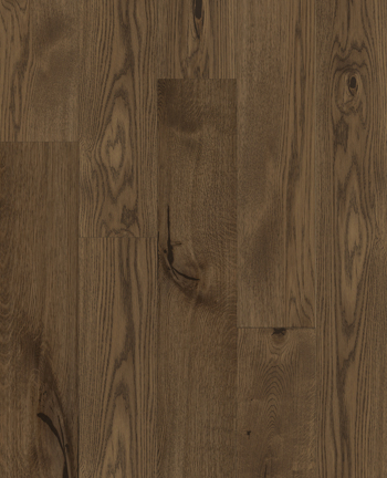 Isola Feature